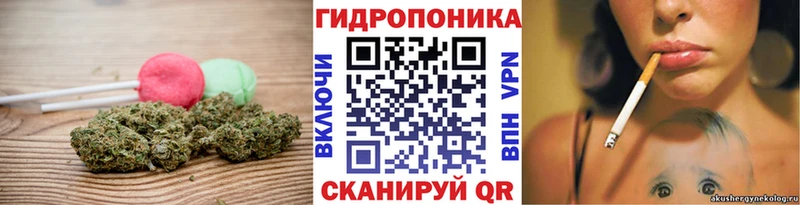 Cannafood конопля  Купить где  Анжеро-Судженск 