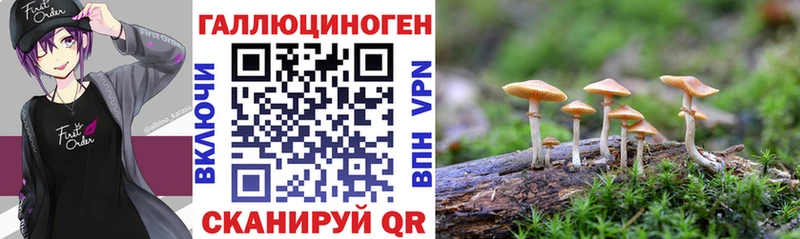 Галлюциногенные грибы Magic Shrooms  Купить  Анжеро-Судженск 